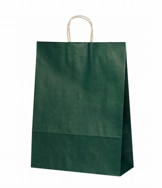 紙手提袋　T-12 カラー(緑)